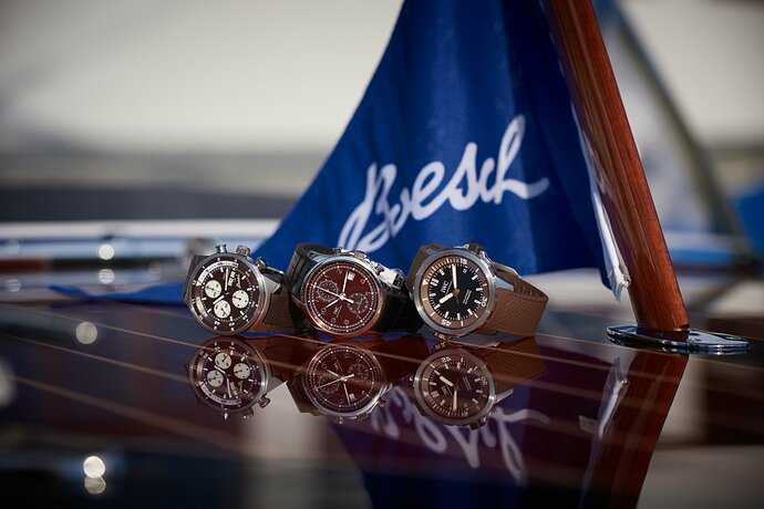 jk_2020_06_iwc_1_2252_1_tbe