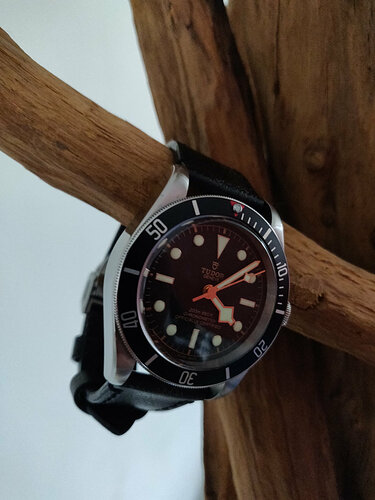 Tudor1