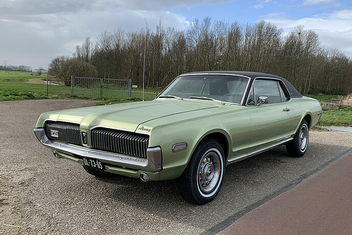 cougar voor
