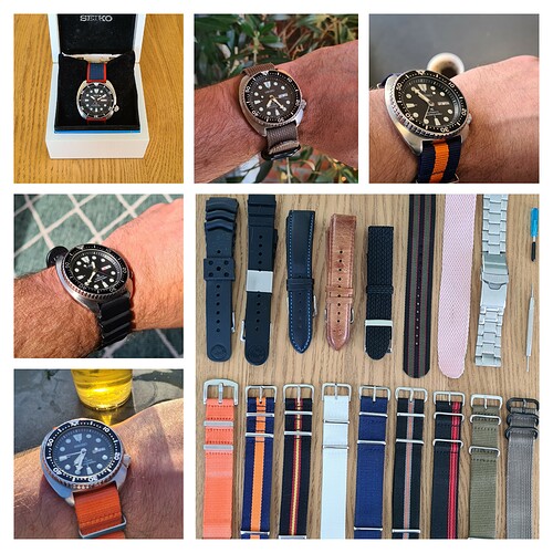 Seiko Turtle Collage