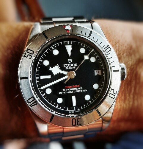 tudor21