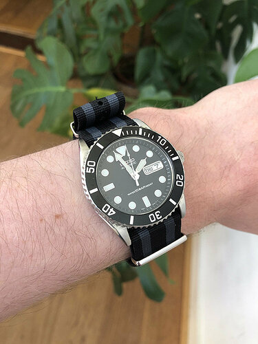 SKX_1