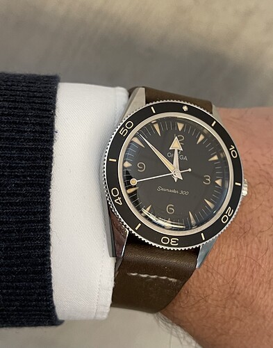 OMEGA_1313