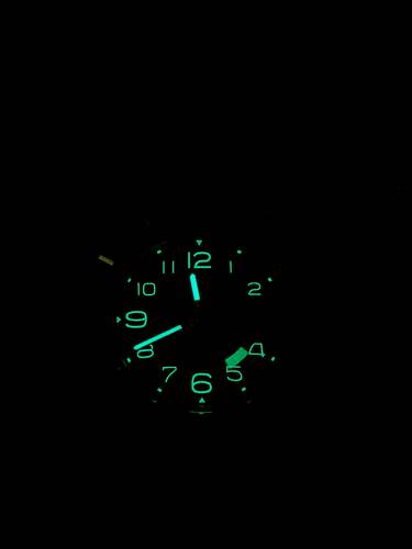 PXL_20210418_214012405.NIGHT
