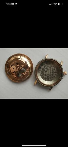 IMG-20230130-WA0010(1)