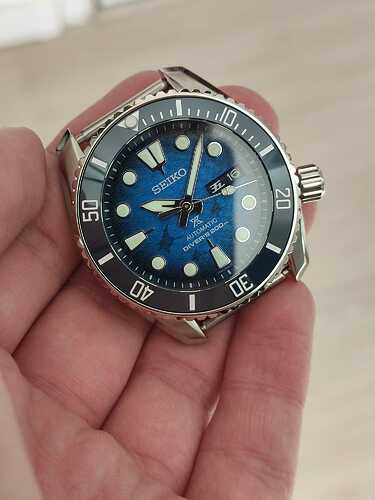 blue manta yannick