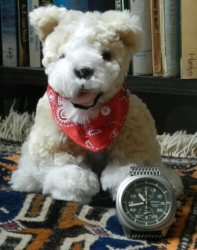 Seiko_chrono_DSCN4919