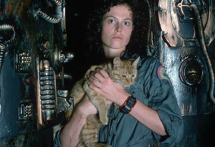 montre-ripley-alien