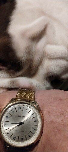 IMG_20231129_173929973