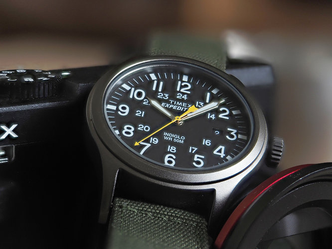 Timex-LumixTZ90-20190902