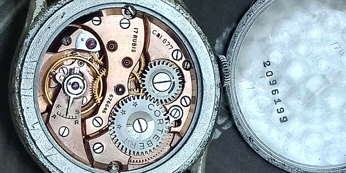 20191205_144529_HDR