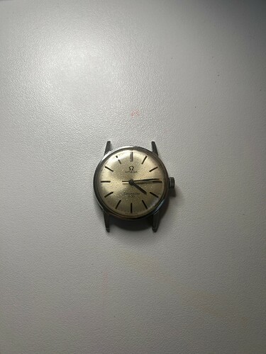 omega seamaster 600