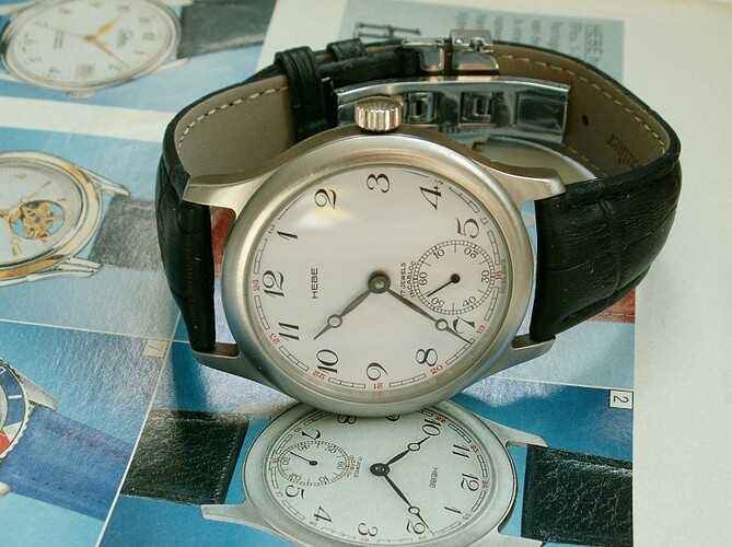hebe 6498