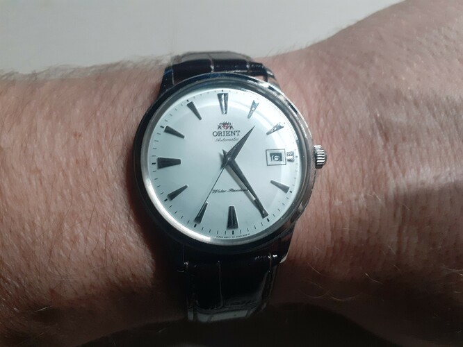 Orient Bambino