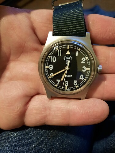 16343160052447498343205151459979