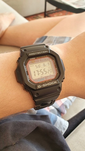 15969884931643977280071699302572