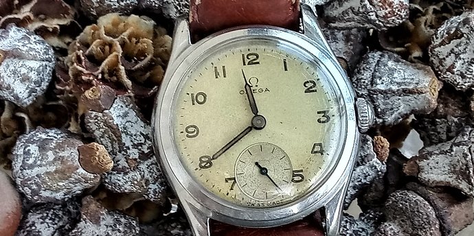 20191122_113937_HDR (2)