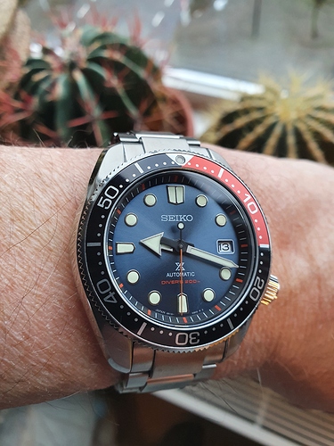 16078474360056627339937301304097