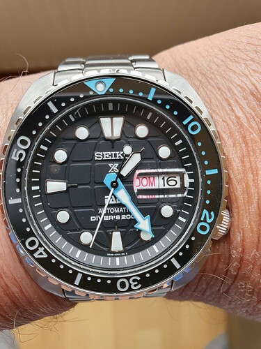 Seiko Padi king turtle zondag