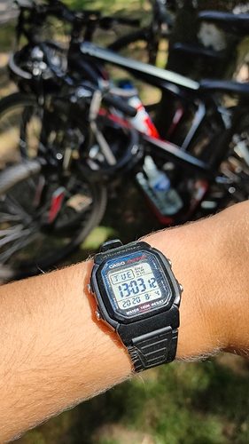 IMG20200804130312