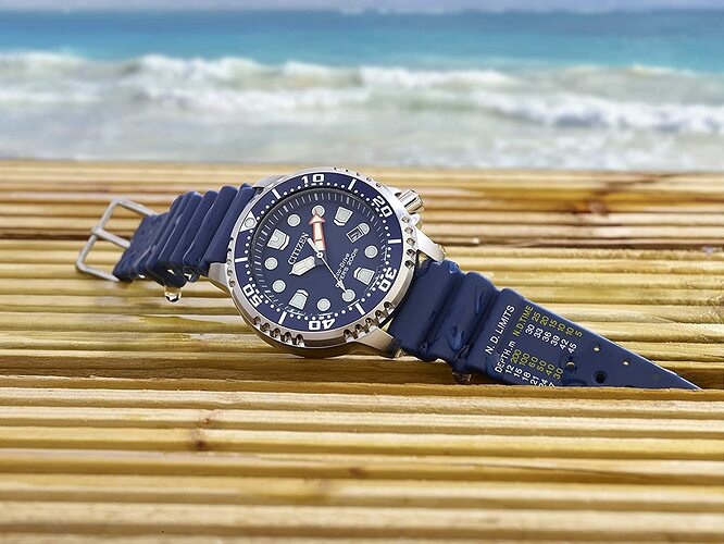 Citizen BN0151-09L