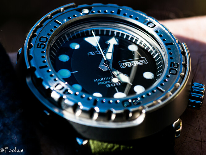 100 macro (8 of 10)