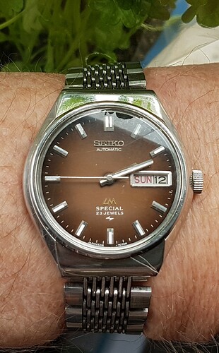 Seiko LM Special (1b) 12-03-2023