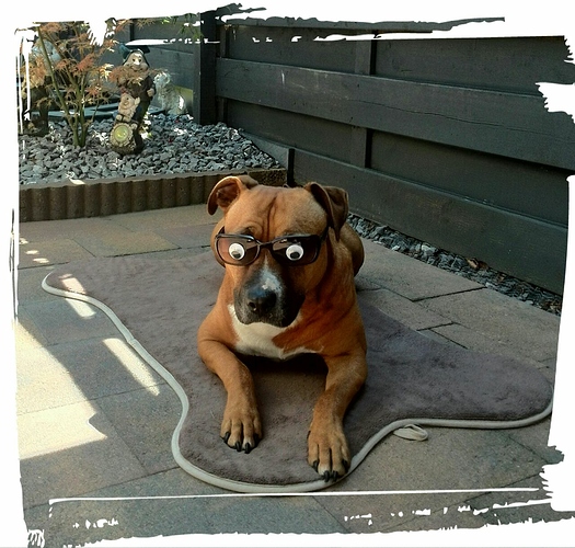 IMG-20150612-WA0000