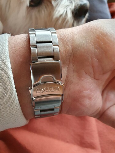 Seiko Gilt 2