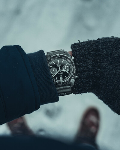 07-02-21-Heuersneeuwwristie