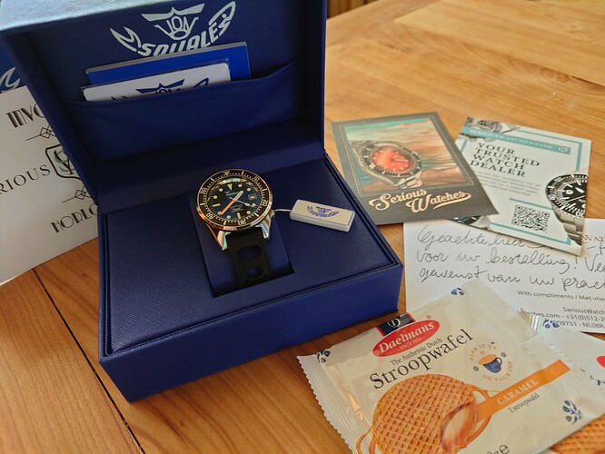 Squale 8