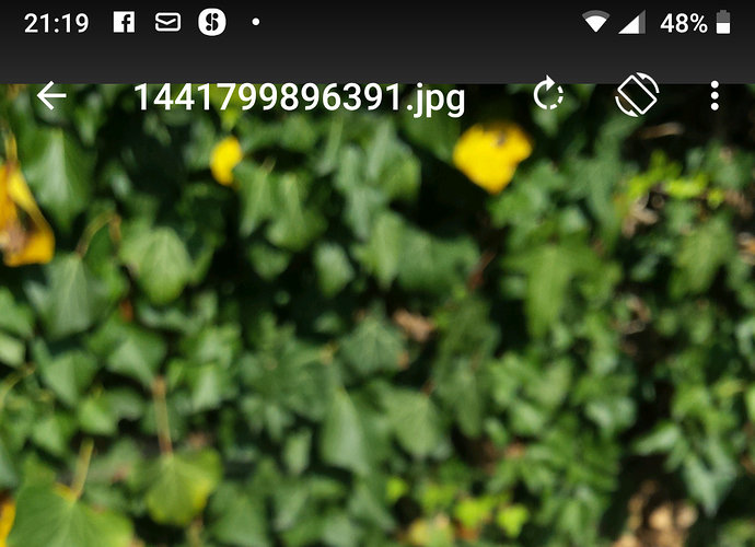 Screenshot_20190717-211955