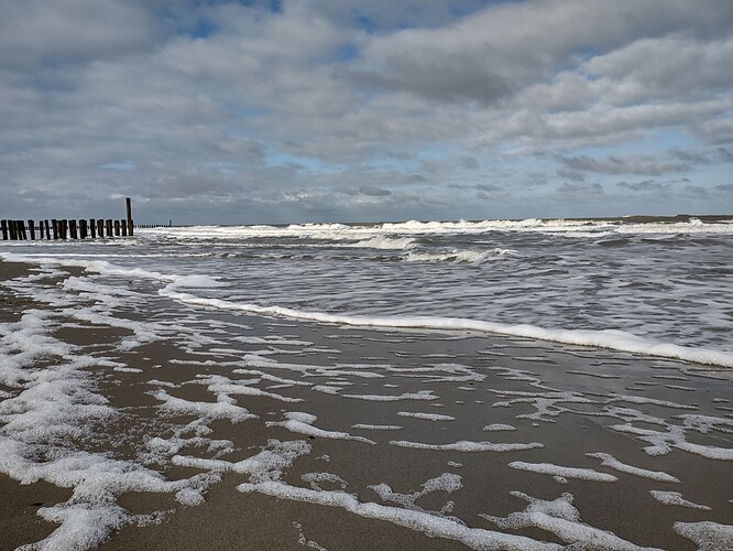 IMG_20210314_100112191_HDR