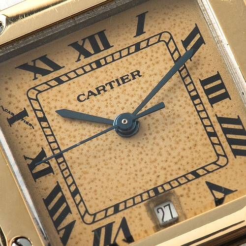 W-1431 Cartier Santos Stingray Patina_005