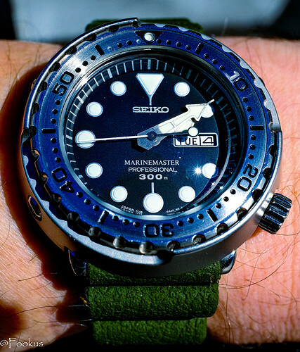 100 macro (3 of 3)