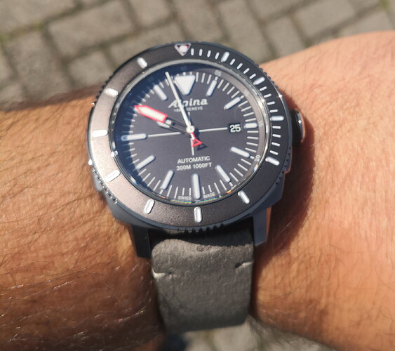 ALPINA SEASTRONG DIVER 300-AL525-44mm-22mm-SNAL-525LGGW4TV6-p29-1