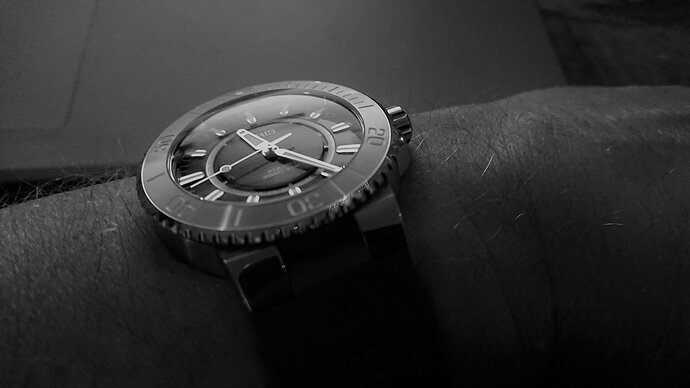 DSC_0069 (1)
