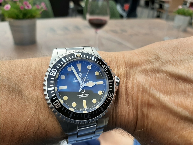 Steinhart 2