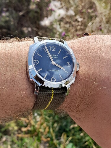 16896883208022511664073809005590