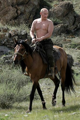 gy_putin_dc_011718_2x3_992