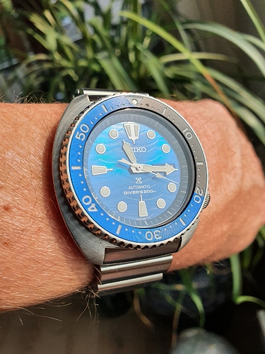 15998157097456649250040325745115