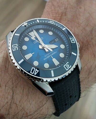blue manta carlo