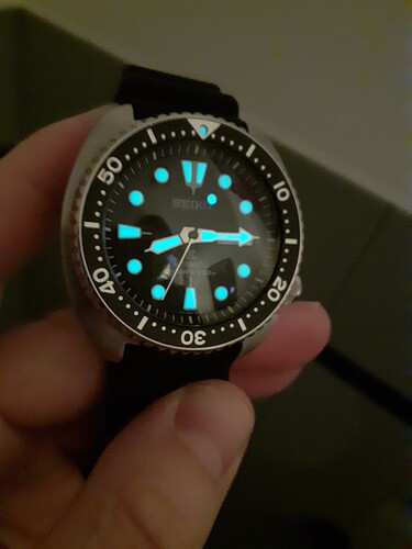 Turtle lume