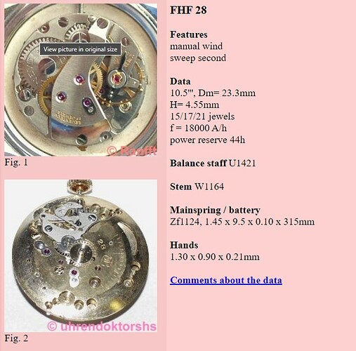 FHF28 Ranfft 1