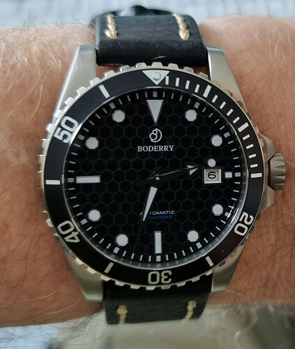 Seaturtle Ocean 1