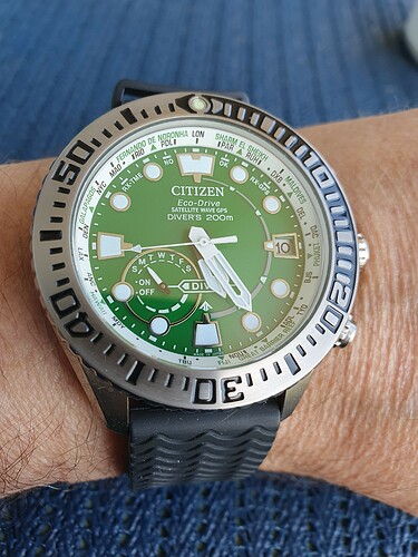 Citizen GPS 1