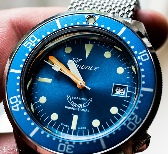 squale (12 of 12)