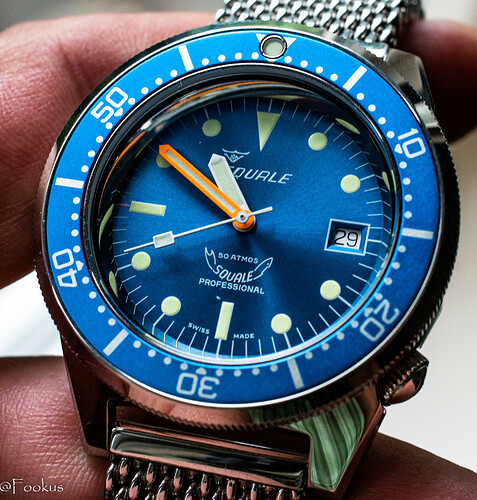 squale (10 of 12)