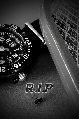 Picsart_23-07-20_22-00-34-692