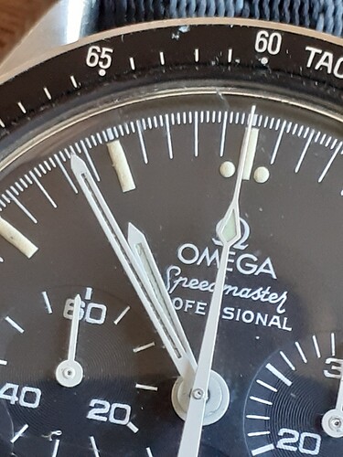 15931616216254501768032077788030